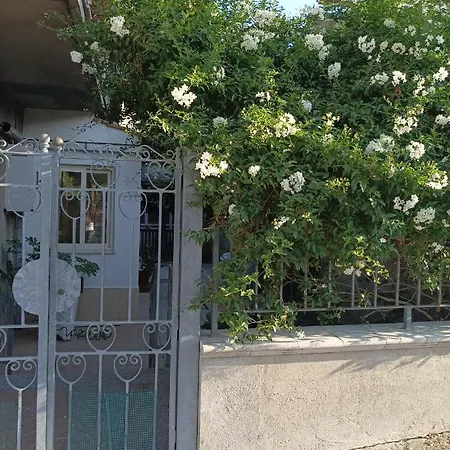 House Garden *