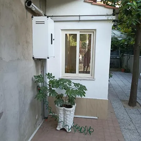 House Garden
